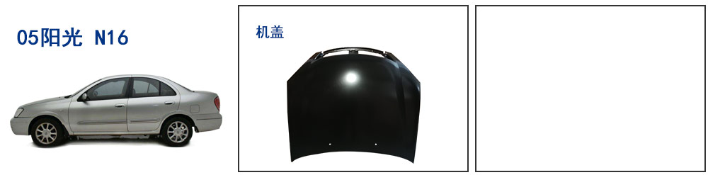陽(yáng)光 N16